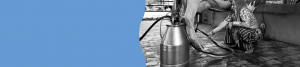 Webpage banner for the webpage of MilkEasy for Prompt Dairy Tech