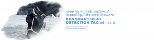 BovSmart Heat Detection Tag by Prompt Dairy Tech