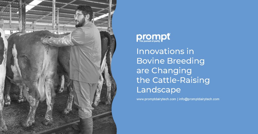 Blog on Innovations in bovine-breeding by Prompt Dairy Tech