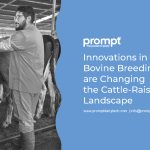 Innovations in Bovine Breeding are Changing the Cattle-raising Landscape